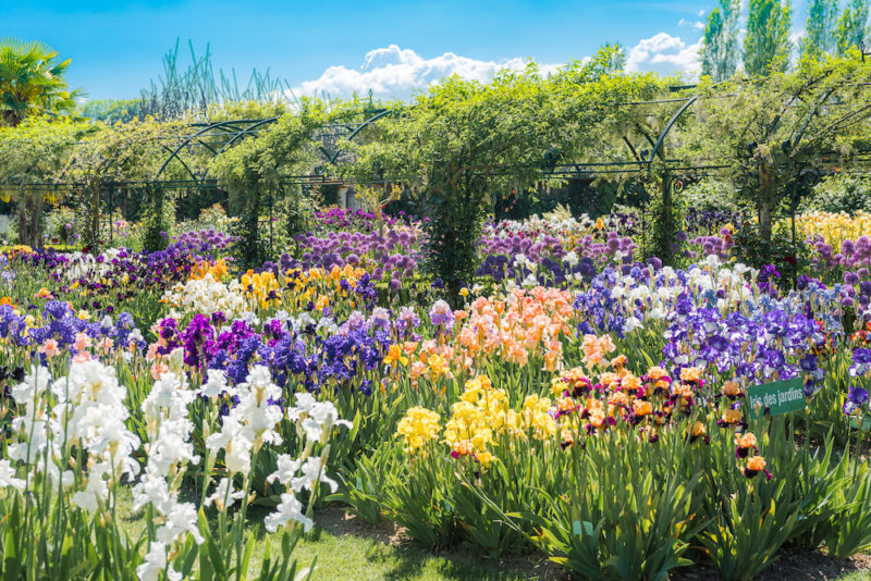 Sortie au château de Vullierens